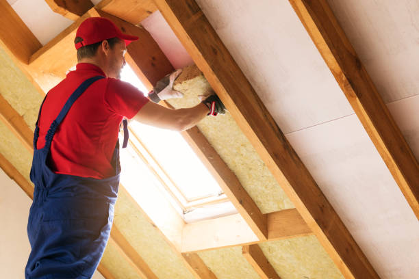 Best Commercial Insulation Services  in Calumet City, IL